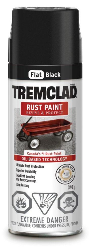 Oil-Based Rust Paint In Flat Black Aerosol Spray Paint - 340 g