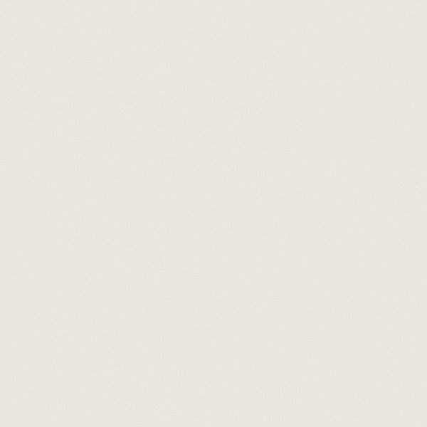 Anatolia 3 x 24 in (7.4 x 60 cm) Prima Matte Unglazed Porcelain Bullnose, WARM WHITE