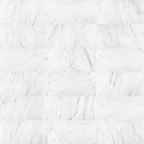 Anatolia 3 x 6 in (7.5 x 15.1 cm) Bianco Venatino Polished Marble