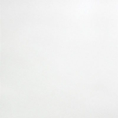 Anatolia 13 x 13 in (33 x 33 cm) Satin Matte Pressed Glazed Porcelain, WHITE