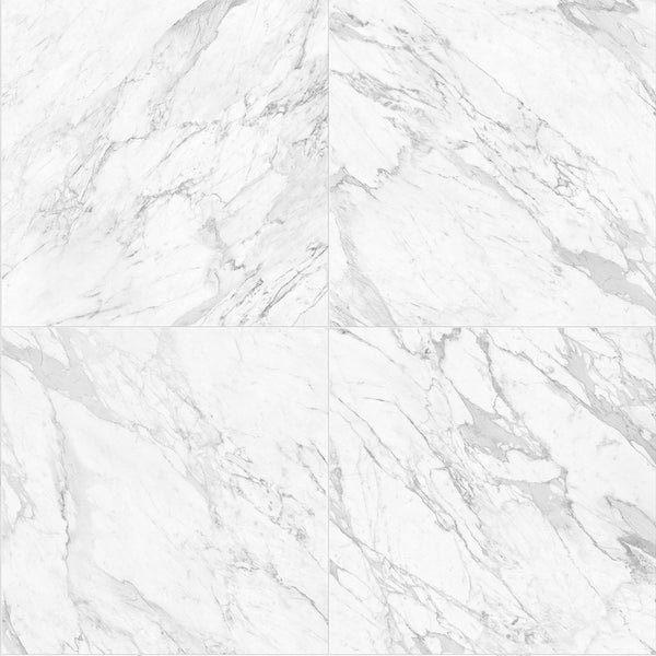 Anatolia 24 x 48 in (60 x 120 cm) La Marca Polished Rectified Glazed Porcelain, STATUARIETTO
