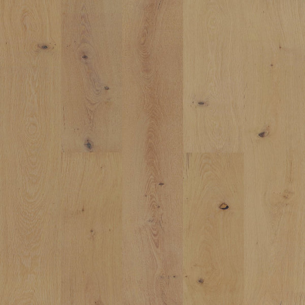 Biyork Engineered Hardwood Flooring Nouveau 8 Bode European Oak Wirebrushed 8-1/2