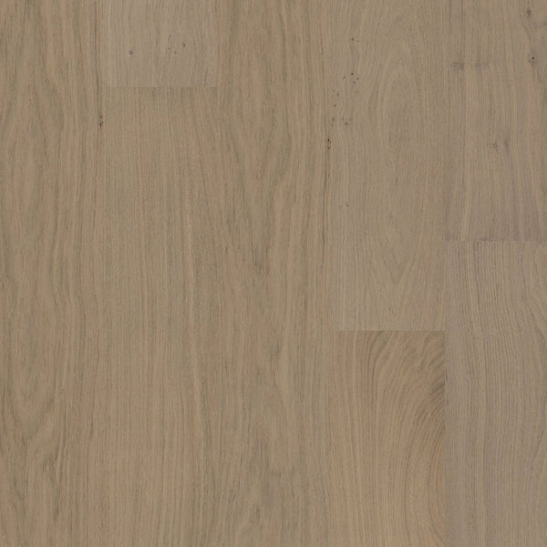 Biyork Engineered Hardwood Flooring Nouveau 8 Salted Biscotti European Oak Wirebrushed 8-1/2