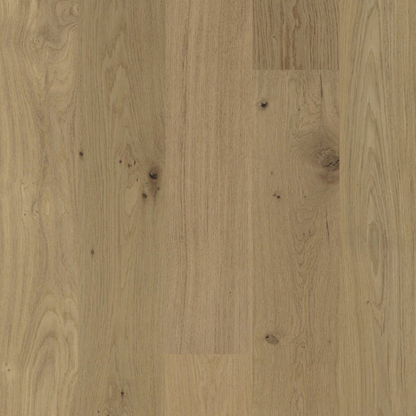 Biyork Engineered Hardwood Flooring Nouveau 6 Mellow Rhapsody European Oak Wirebrushed 6-1/2