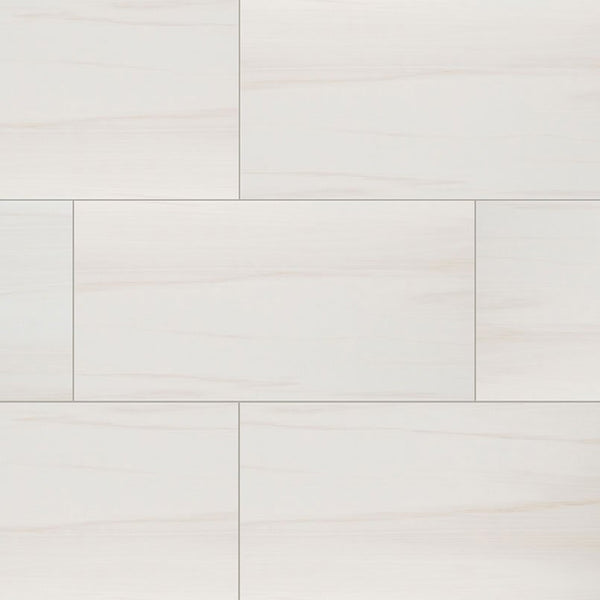 MSI Floor Tiles Eden Dolomite White-Cool Matte 24