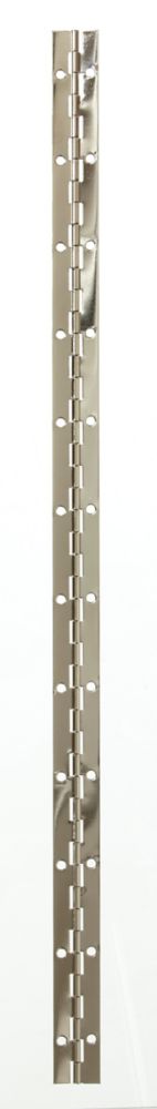 24 Inch X1-1/16 Inch Nickel Cont Hinge