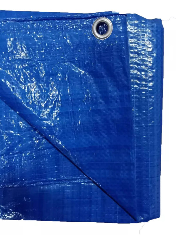 HDG 12 ft. x 14 ft. Light Duty Tarp in Blue (2-Pack)